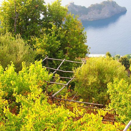 Giardino Sul Mare Apartamento Amalfi Exterior foto