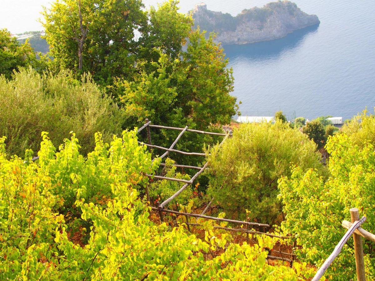 Giardino Sul Mare Apartamento Amalfi Exterior foto