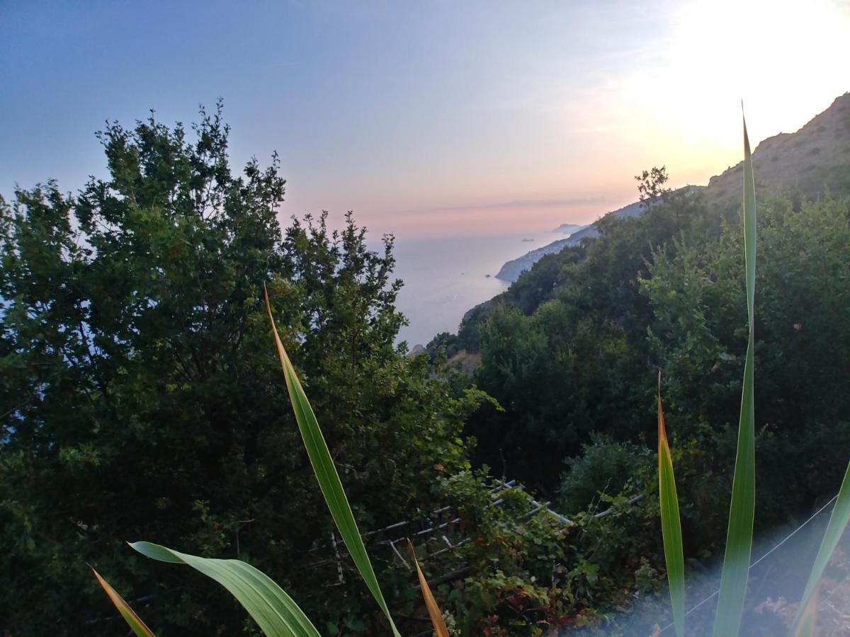 Giardino Sul Mare Apartamento Amalfi Exterior foto