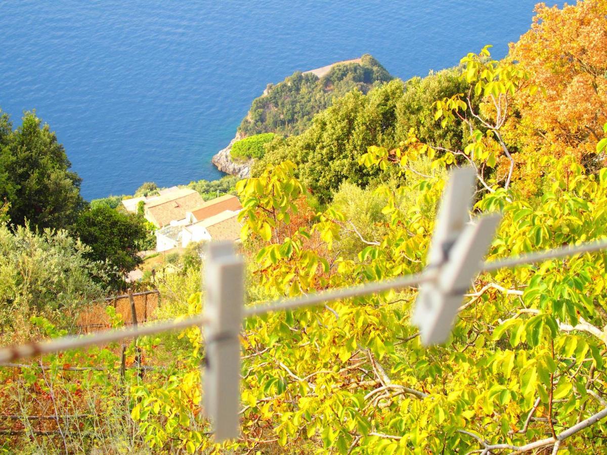 Giardino Sul Mare Apartamento Amalfi Exterior foto